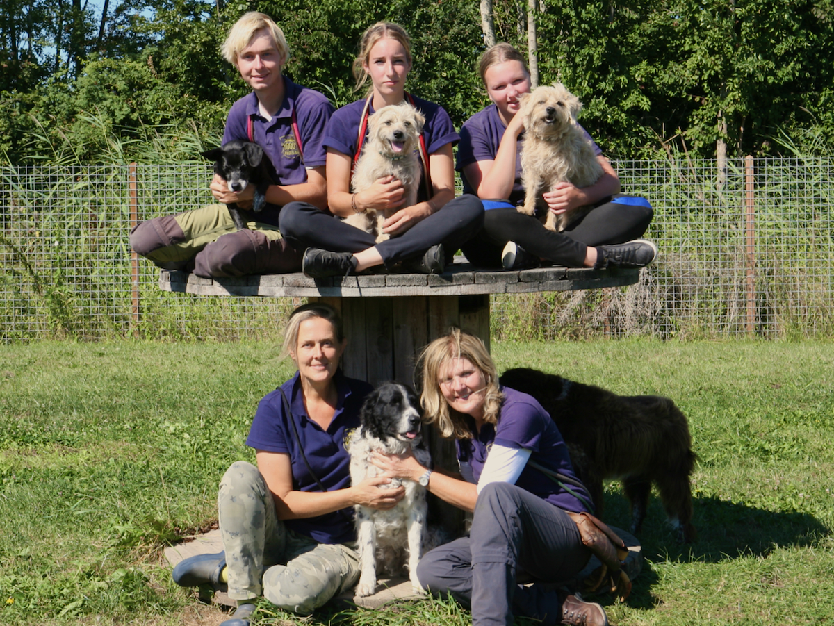 Doggywonderland hondenopvang kennelvrij roedel team